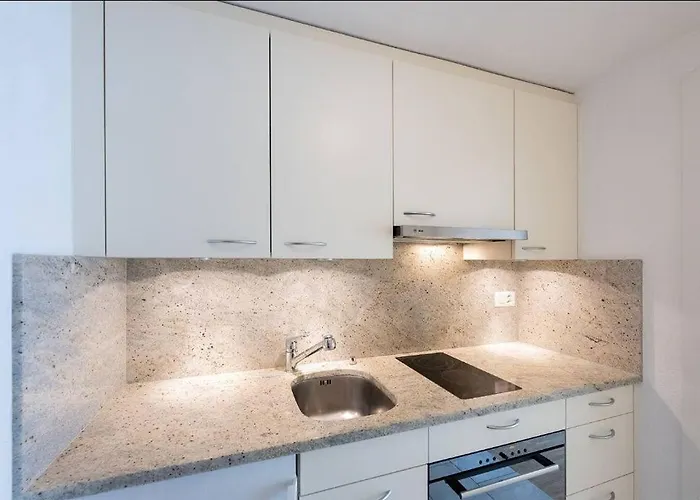 Executive Walk To Congress Centre Davos